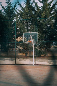 A basketball hoop in an outdoor court surrounded by trees, perfect for sports enthusiasts.