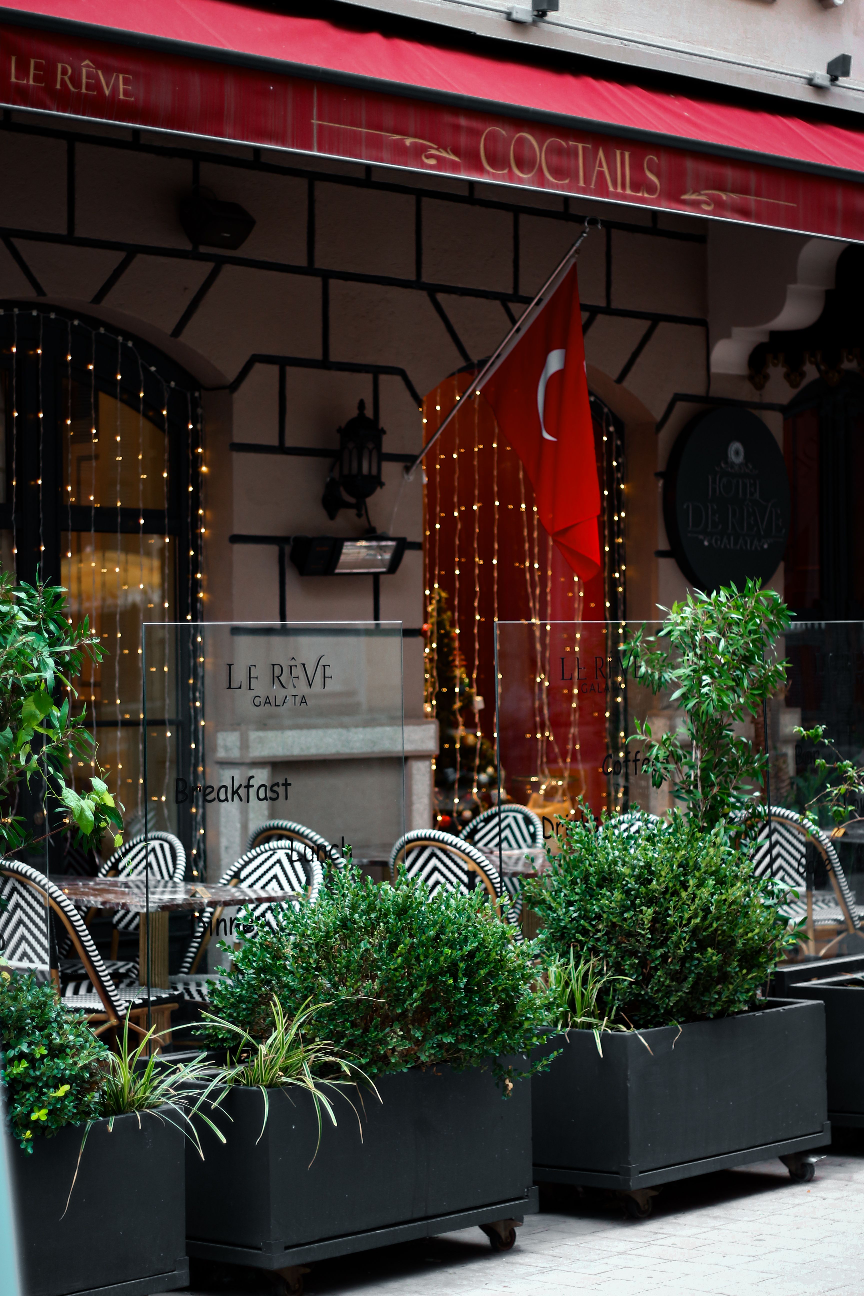 Cozy urban cafe with lush greenery and Turkish flag, perfect for outdoor dining.