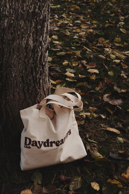 Canvas tote bag amidst fallen autumn leaves next to a tree in a park setting.