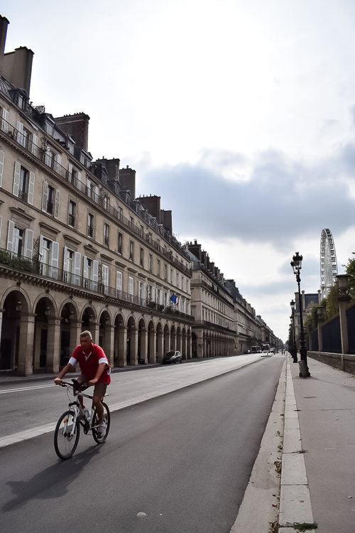 Paris Rou Grande Roue De Paris · Free Stock Photo