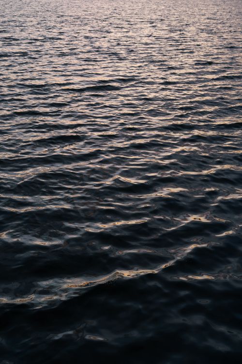 Free Calm waves reflecting the twilight sky in Auckland Harbor, New Zealand. Captivating tranquility. Stock Photo