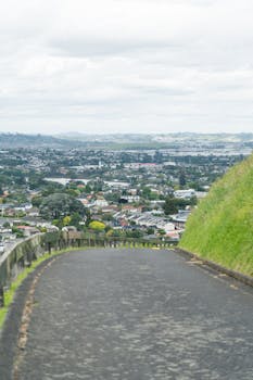 A serene road leading down a hill with a view of Auckland city and lush greenery.