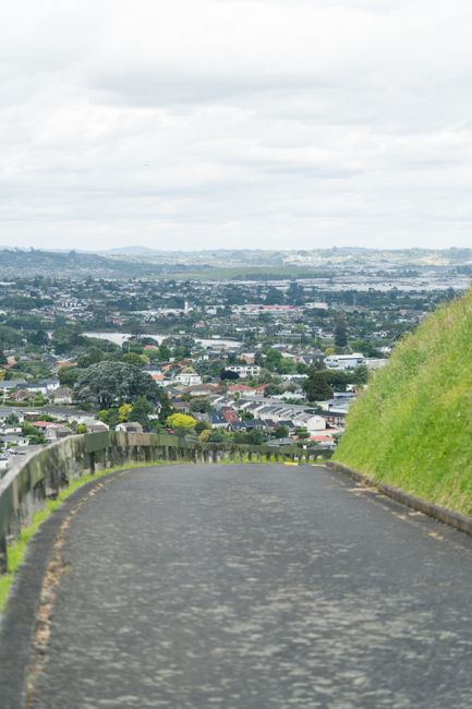 Navigating New Zealand Roads: Tips for a Safe Journey Navigating New Zealand Roads: Tips for a Safe Journey