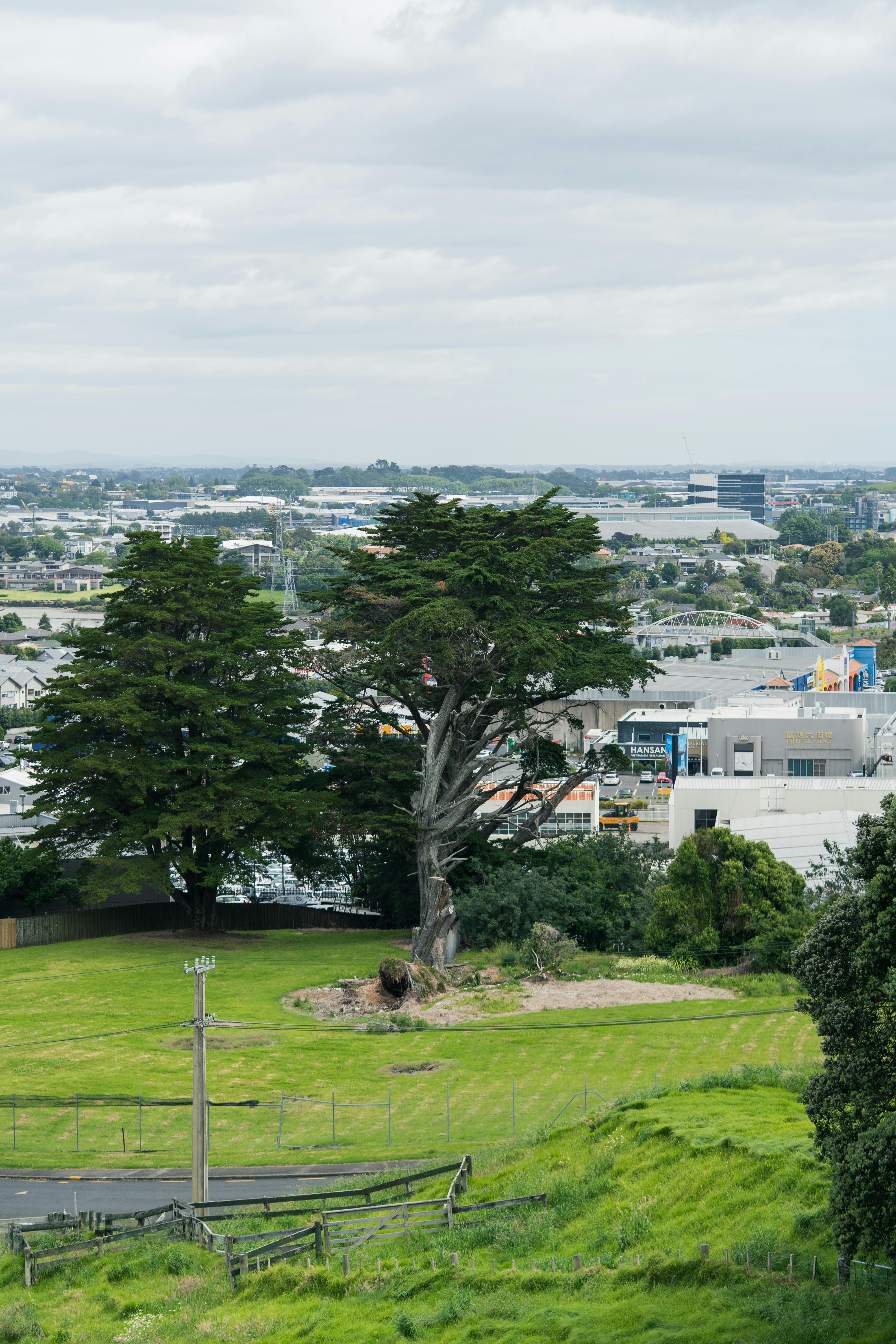 A panoramic view of Auckland, New Zealand, with the petting zoo highlighted in the foreground.