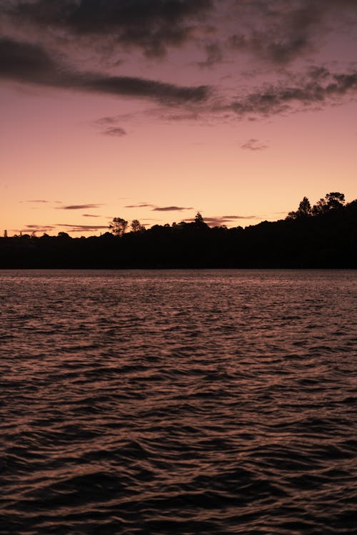 Fotobanka s bezplatnými fotkami na tému auckland, deň, drevený