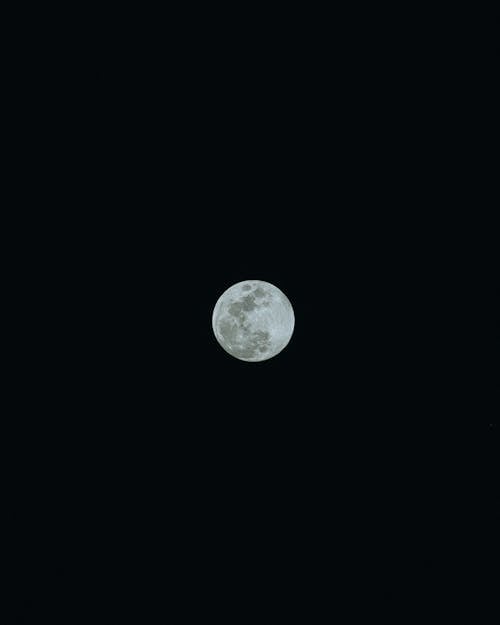 คลังภาพถ่ายฟรี ของ จันทรา, ตอนกลางคืน, พระจันทร์เต็มดวง