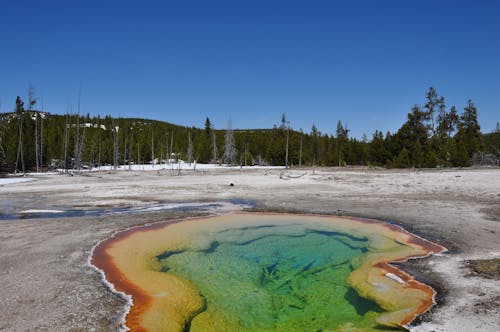 Hot Spring in Yellowstone National Park in the United States
