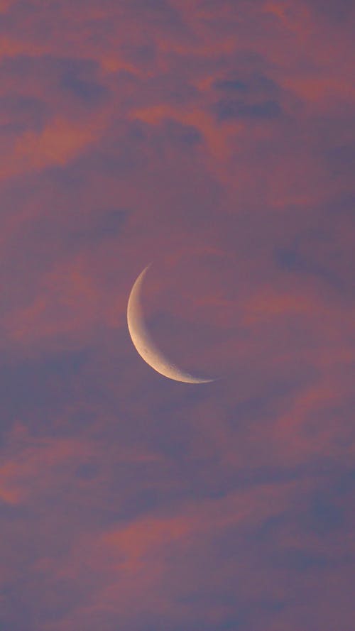 🌙crescent moon