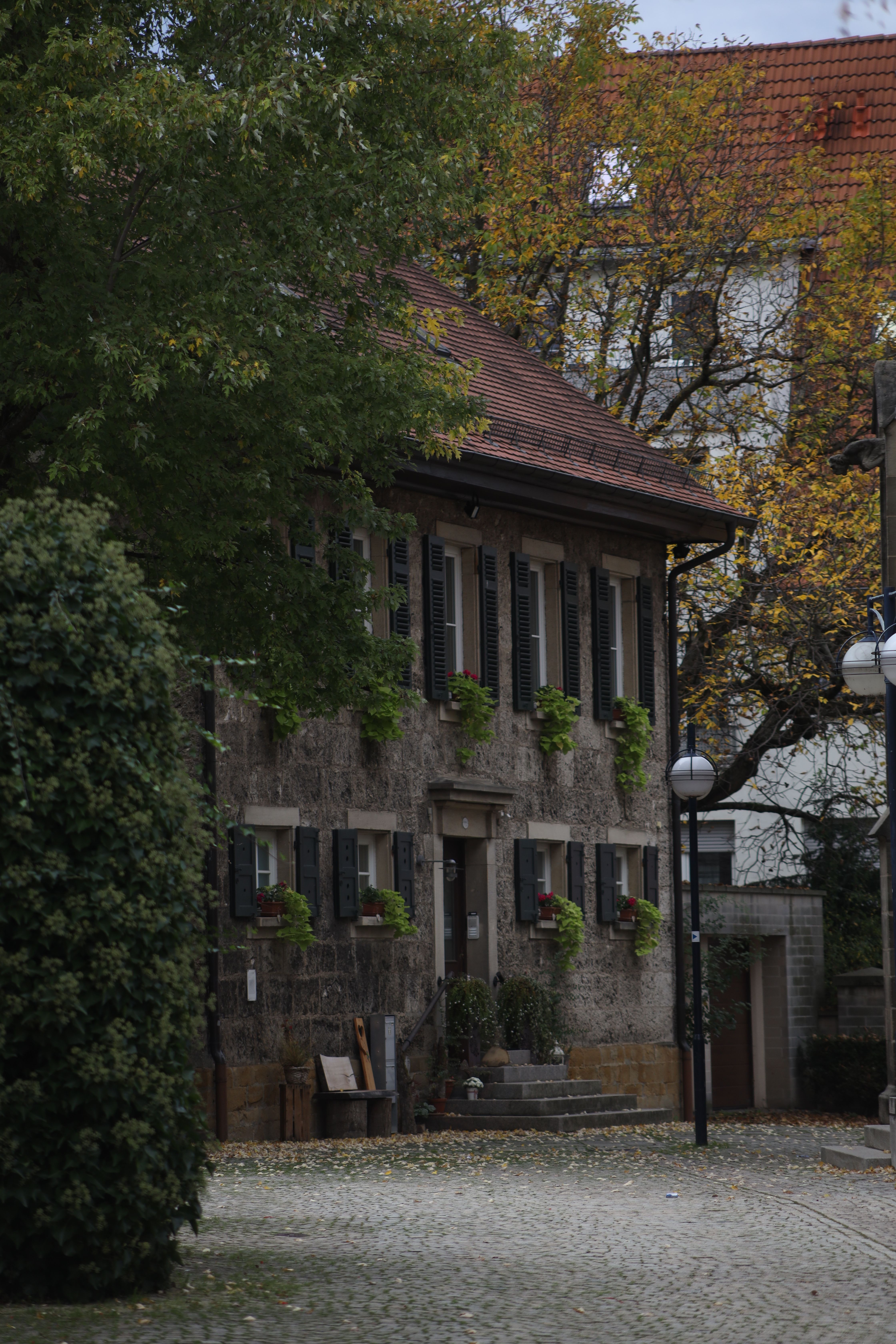 A picturesque traditional German townhouse surrounded by autumn foliage on a quiet street.