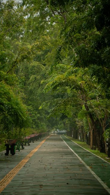 A serene green pathway lined with trees in Pontianak, Indonesia, perfect for relaxation.