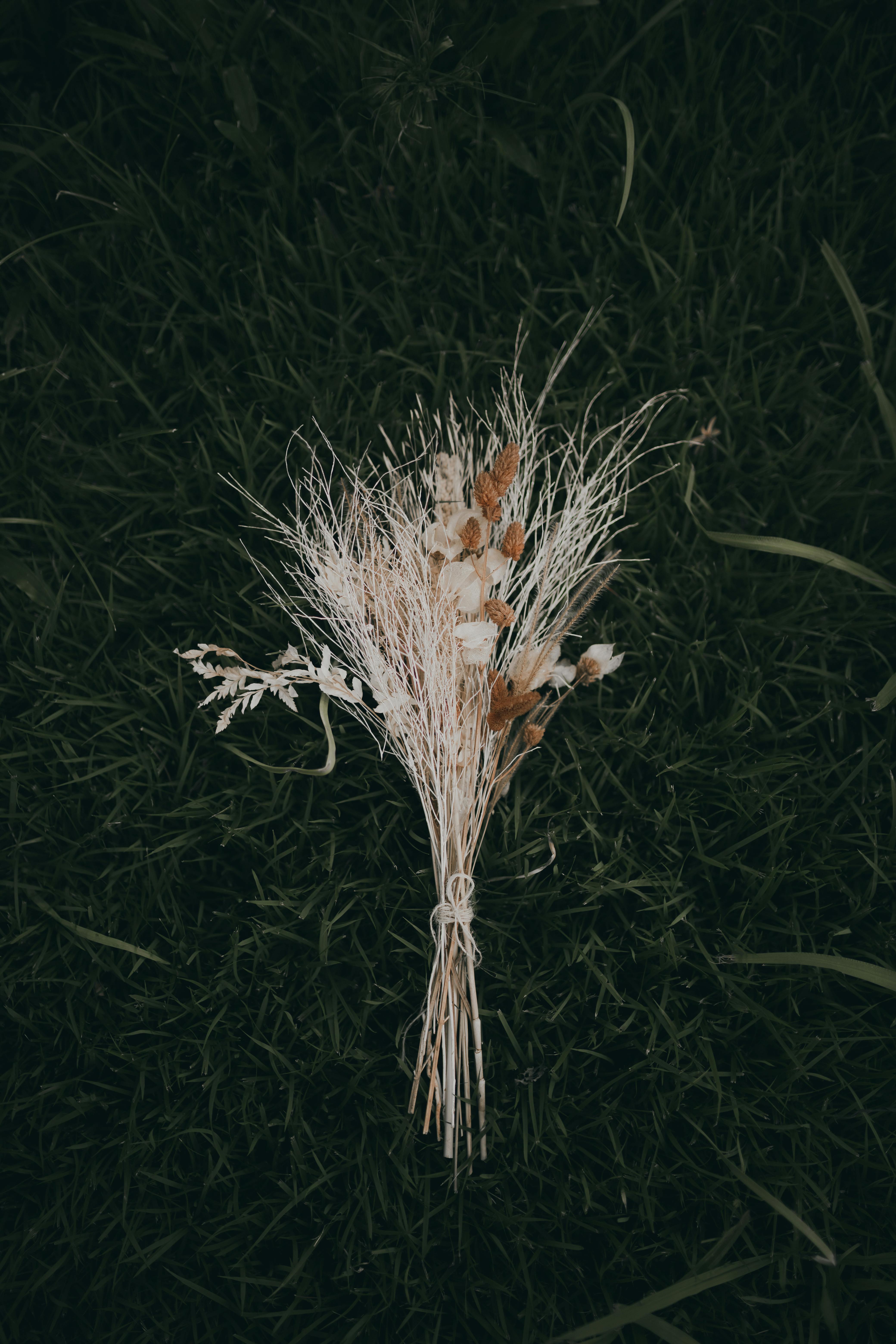 Aesthetic bouquet of dried plants resting on a lush green grass background, captured in a minimalist style.