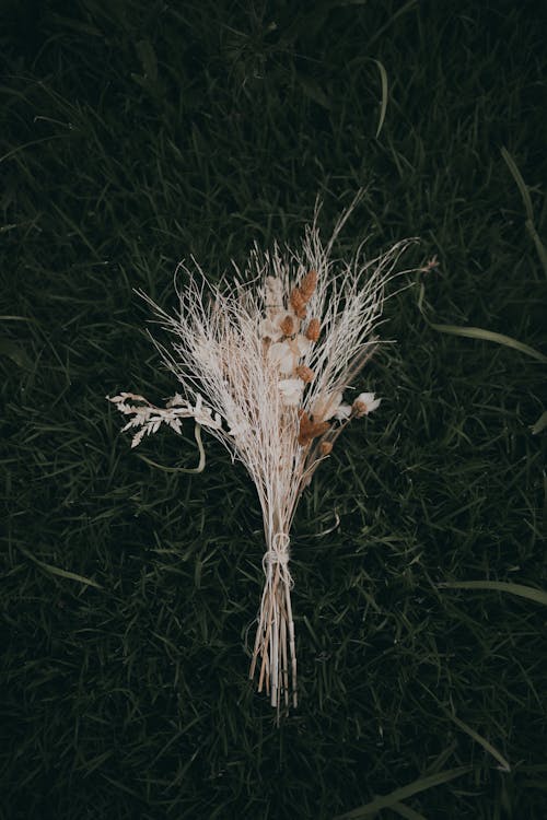 Bouquet of Wheat on a Grass 