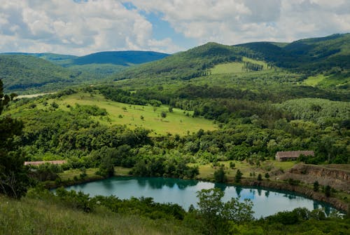 Бесплатное стоковое фото с деревья, живописный, озеро
