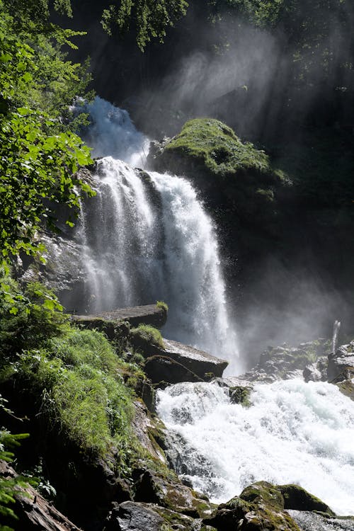 Immagine gratuita di acqua, cascata, foresta