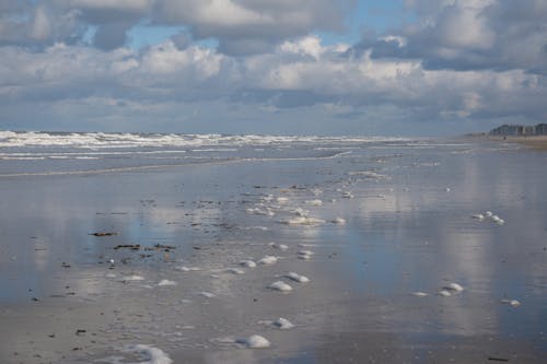 beachlovers, 北海, 天空雲 的 免費圖庫相片