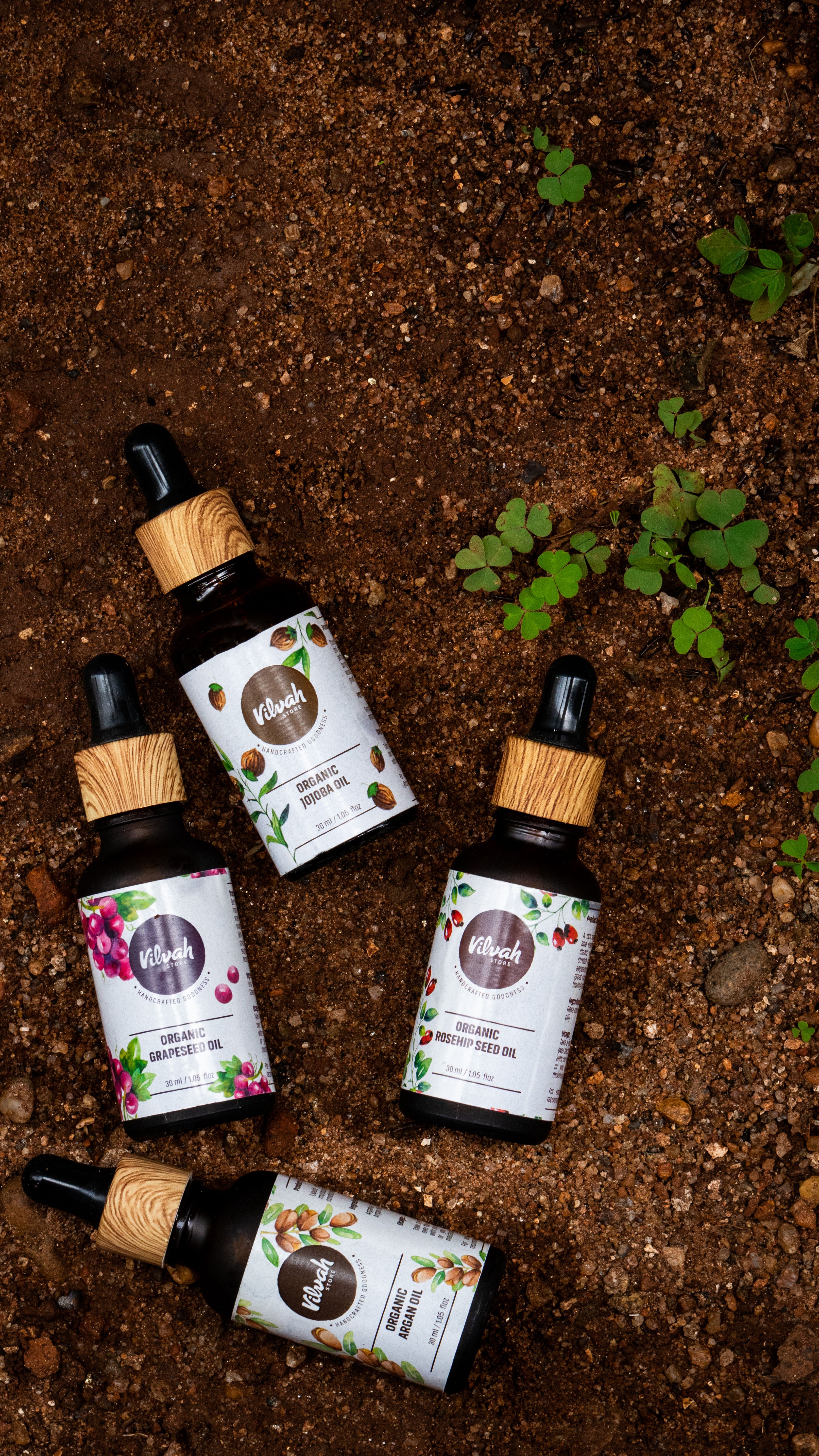 Top view of essential oil bottles on earthy ground with small green plants.