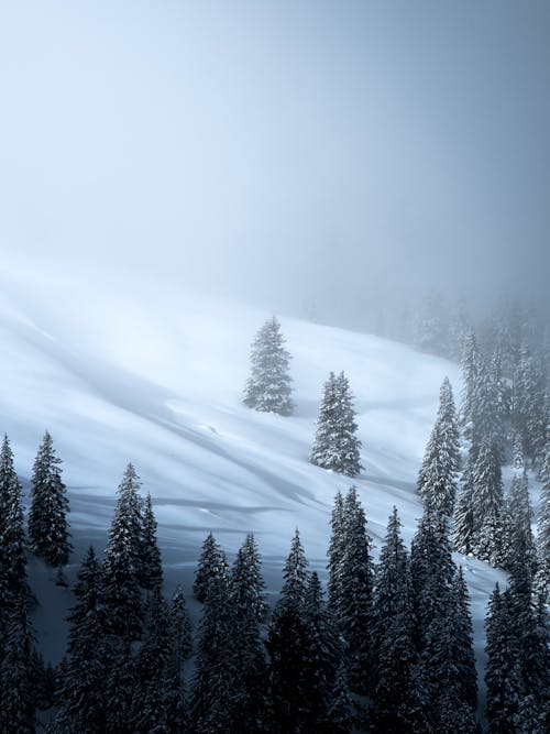 Snow Storm over Slope