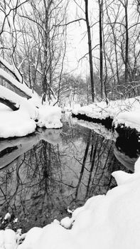 Serene winter scene with snow-covered trees and a reflective stream.