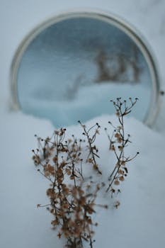 A dreamy winter scene with a frosty mirror reflecting delicate dried flowers buried in snow.