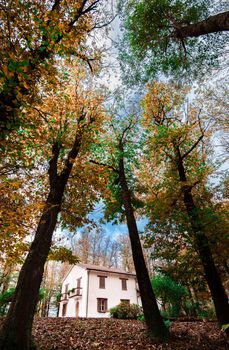 A picturesque rural house nestled among tall autumn trees in a serene countryside setting.