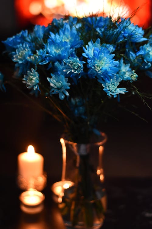 Ingyenes stockfotó csokor, kék virág, virágcsokor témában