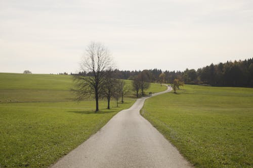 View of a Road through a Countryside 