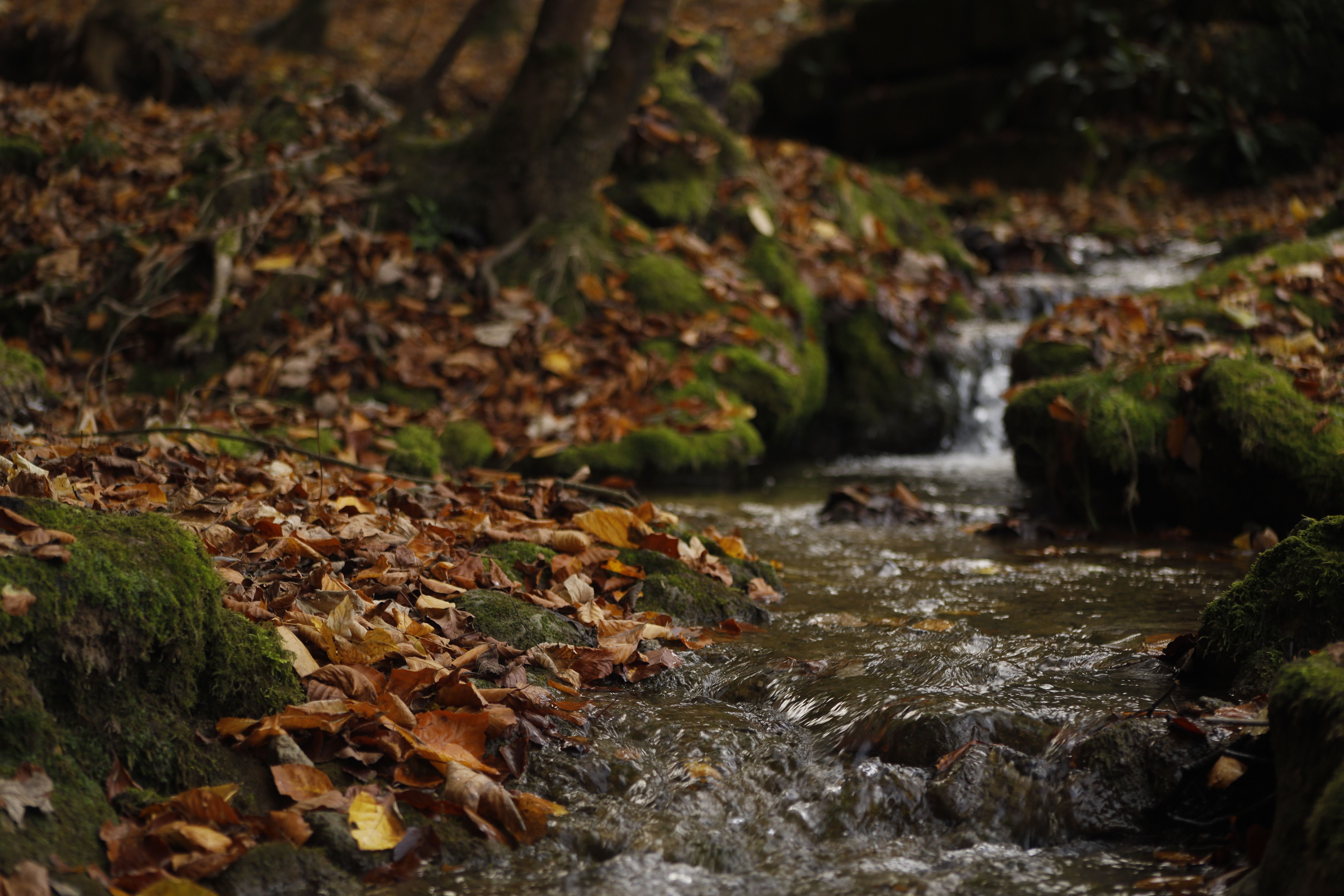 streaming discovery plus — Photo by Saleh Almawed on Pexels
