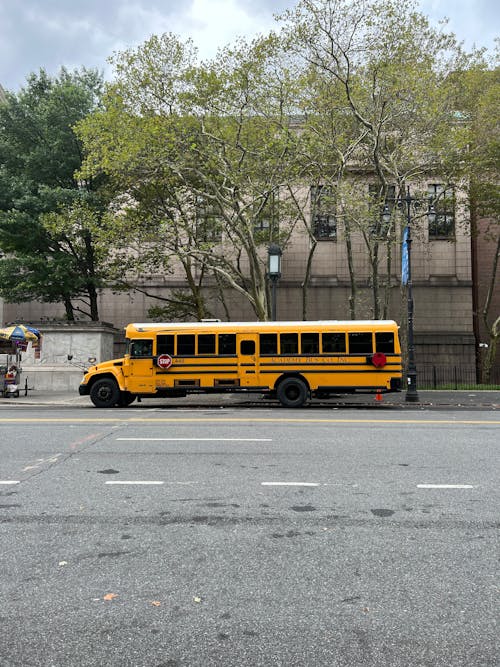 Fotos de stock gratuitas de amarillo, arboles, autobús escolar