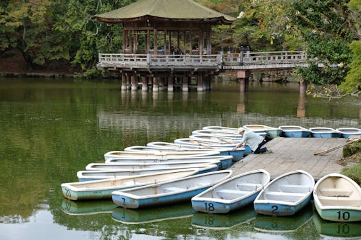 Nara, Japan photo 10