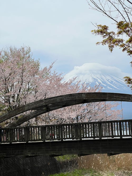 Mt. Fuji and the bridge - #shotoniphone