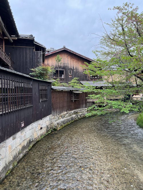 Shirakawa River Flowing Past Traditional Wooden Houses