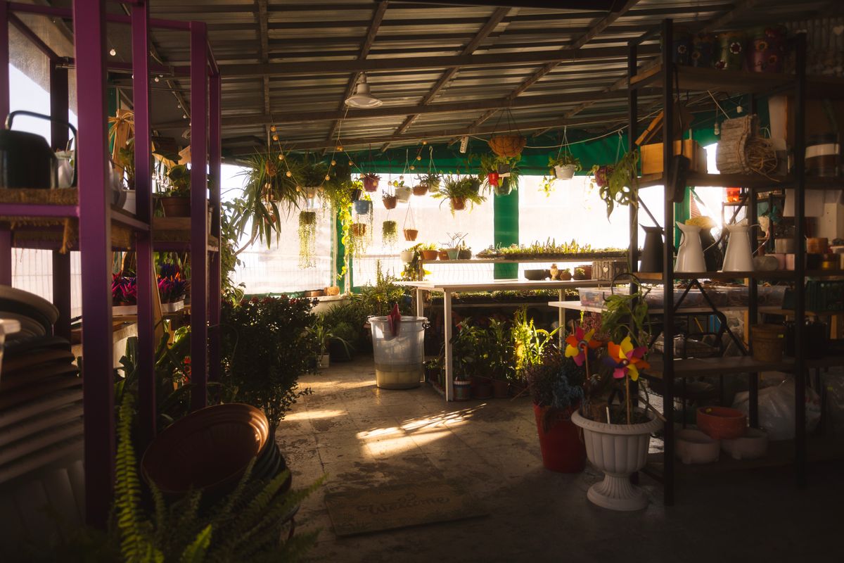植物が並ぶ店内