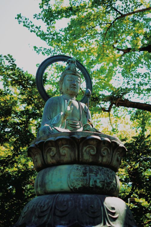 Free Serene bronze Avalokiteshvara statue amidst lush greenery in a Tokyo park, symbolizing peace and spirituality. Stock Photo