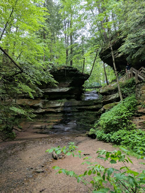 Stream in a Forest 