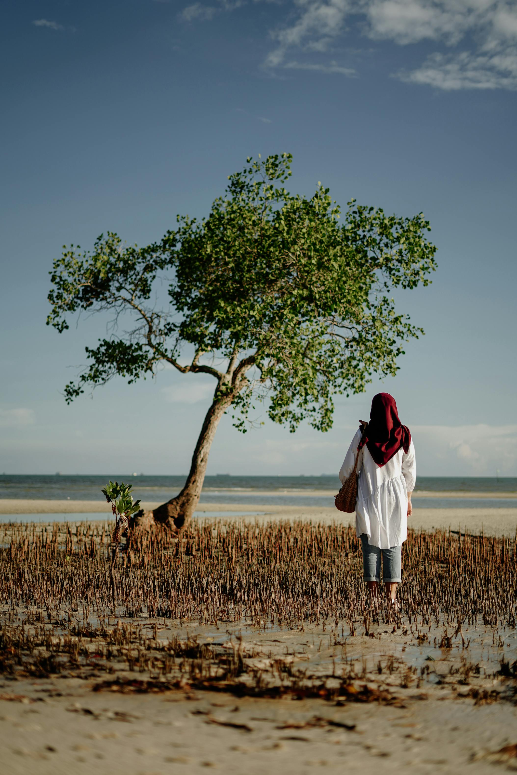 Woman in a headscarf walking on a tranquil beach near a solitary tree under a clear sky.