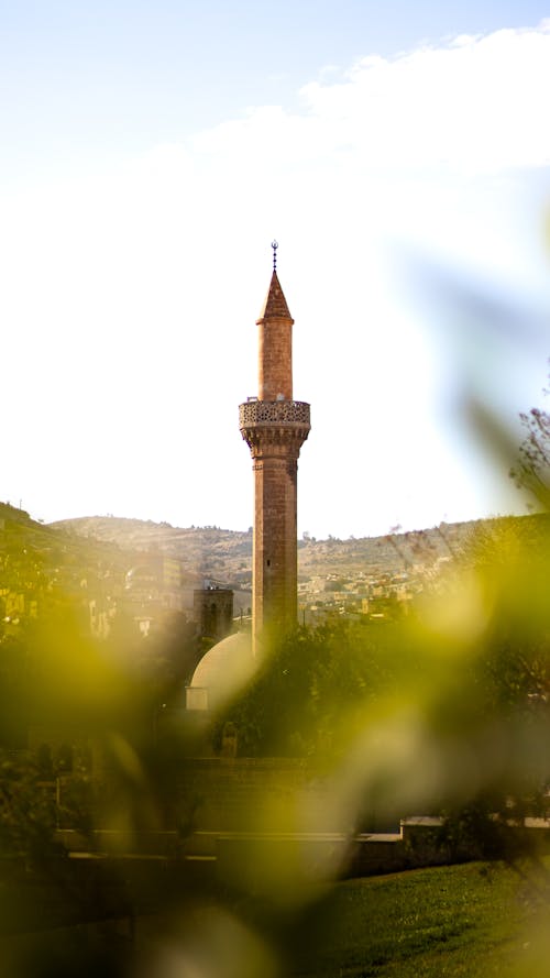 Minaret with Plants in the Foreground