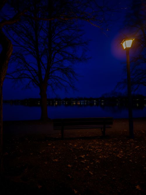 Free Bench Under The Light Post  Stock Photo