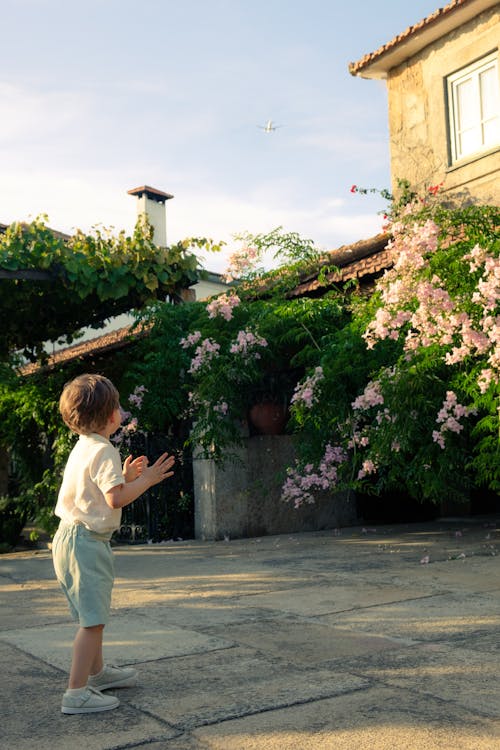 Little Boy in Yard Looking at Flowers