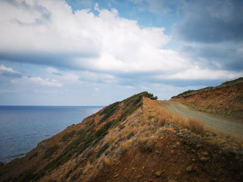 View of a Road on a Hill along the Coast 