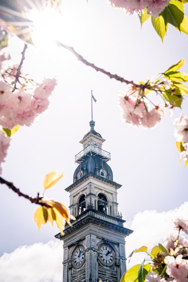 Dunedin Centre Tower In Dunedin, New Zealand