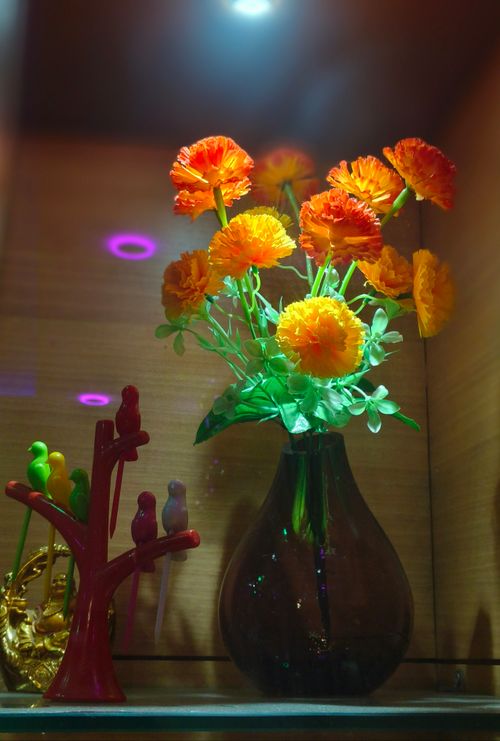 Free Flower Pot Cinematic Potrait Stock Photo