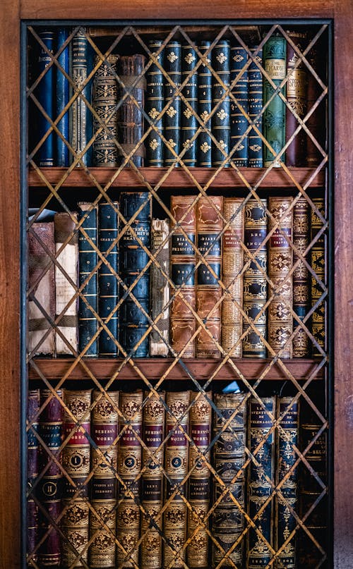 Old Books in a Library 