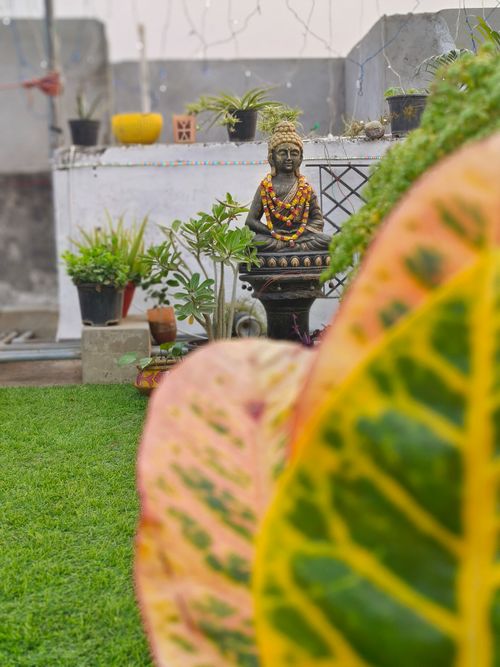 Free Buddha behind leaves Stock Photo