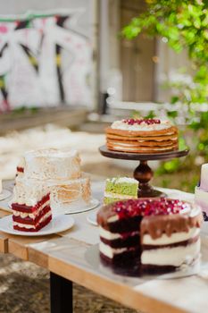 Delicious variety of layered cakes on an outdoor table with vibrant greenery and urban backdrop.