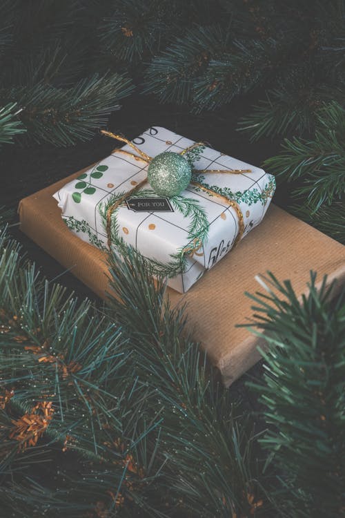 Wrapped Christmas Presents Lying on Christmas Tree Branches 