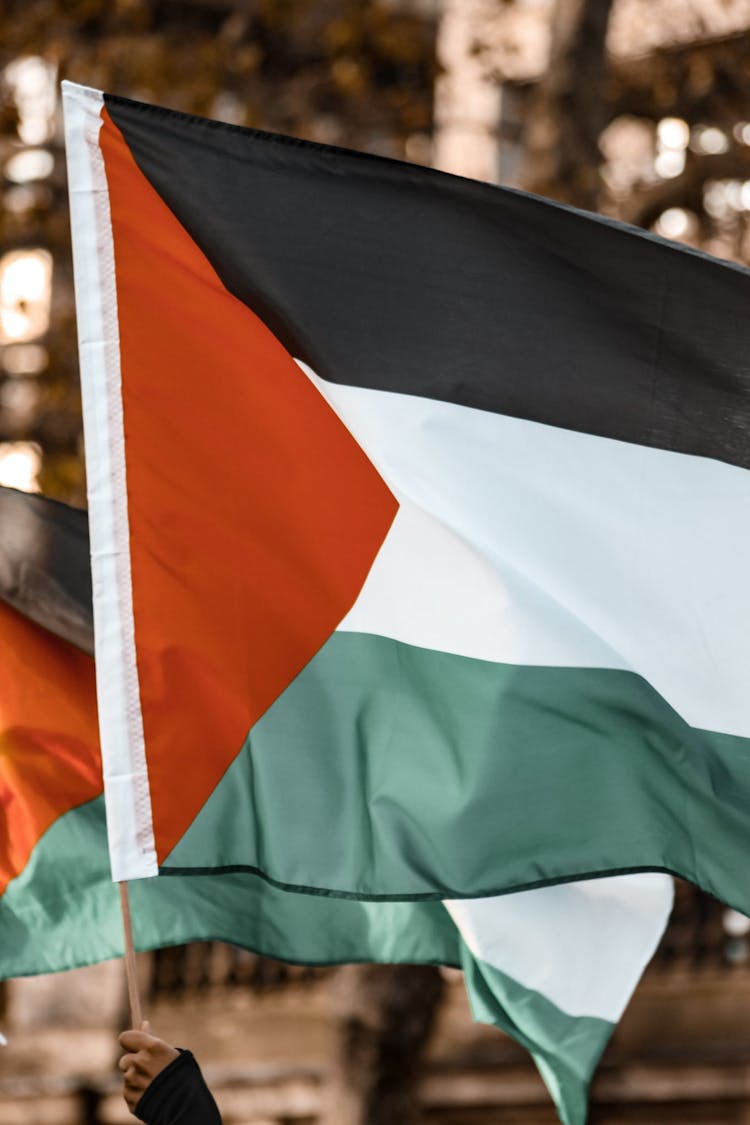 Close-up Of Flags Of Palestine 