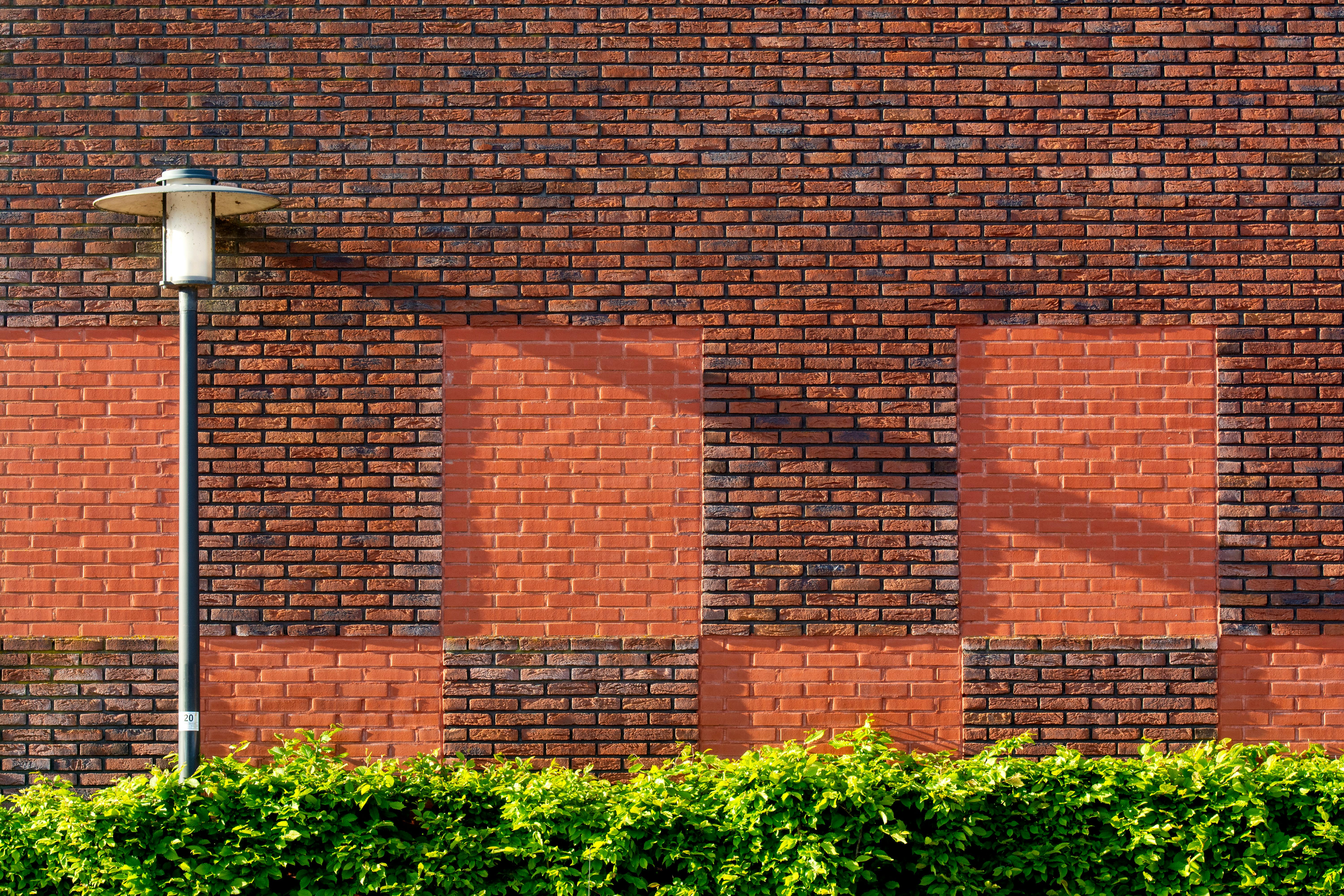 Brick wall exterior with streetlight casting shadows and lush green hedge below.