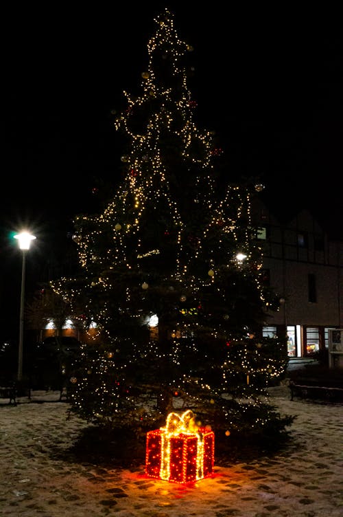 Tree of Wonders: Illuminated Christmas and Present Magic