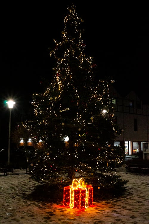 Foto d'estoc gratuïta de adorns, arbre, arbre de Nadal