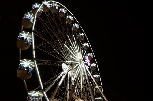 Merry-Go-Glow: Evening Charms of the Holiday Carnival